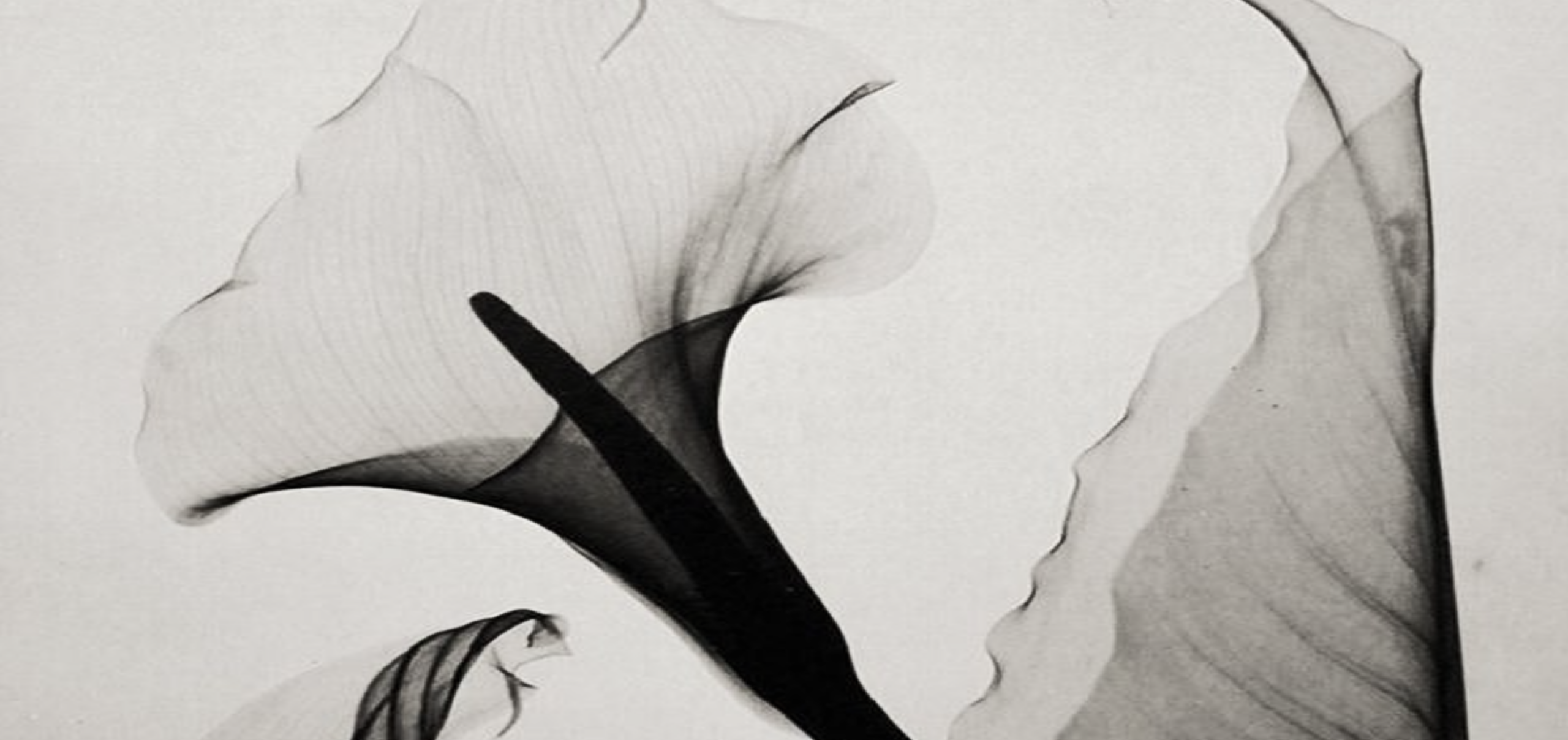 Изображение блока контактов